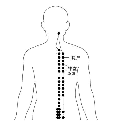 神堂穴位置